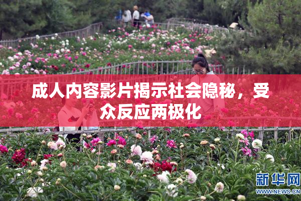 成人内容影片揭示社会隐秘，受众反应两极化