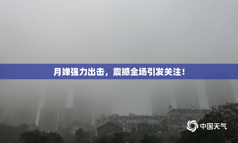 月婵强力出击，震撼全场引发关注！