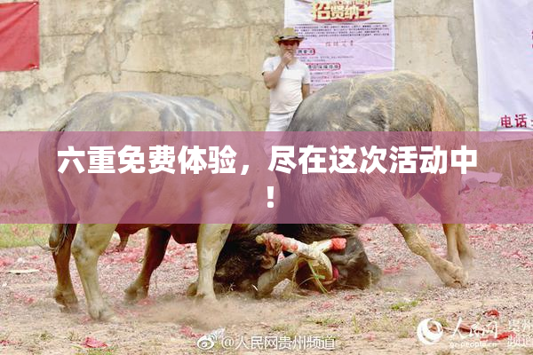 六重免费体验，尽在这次活动中！