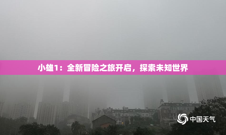 小雄1：全新冒险之旅开启，探索未知世界
