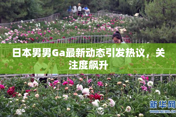 日本男男Ga最新动态引发热议，关注度飙升