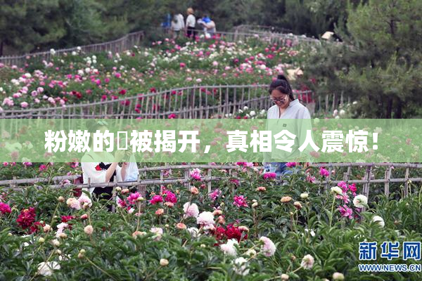 粉嫩的泬被揭开，真相令人震惊！