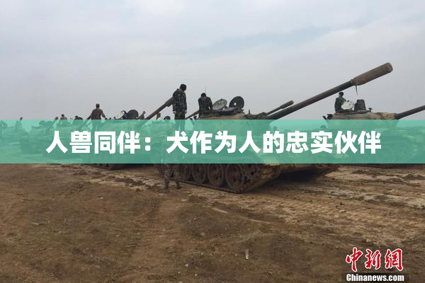 人兽同伴：犬作为人的忠实伙伴