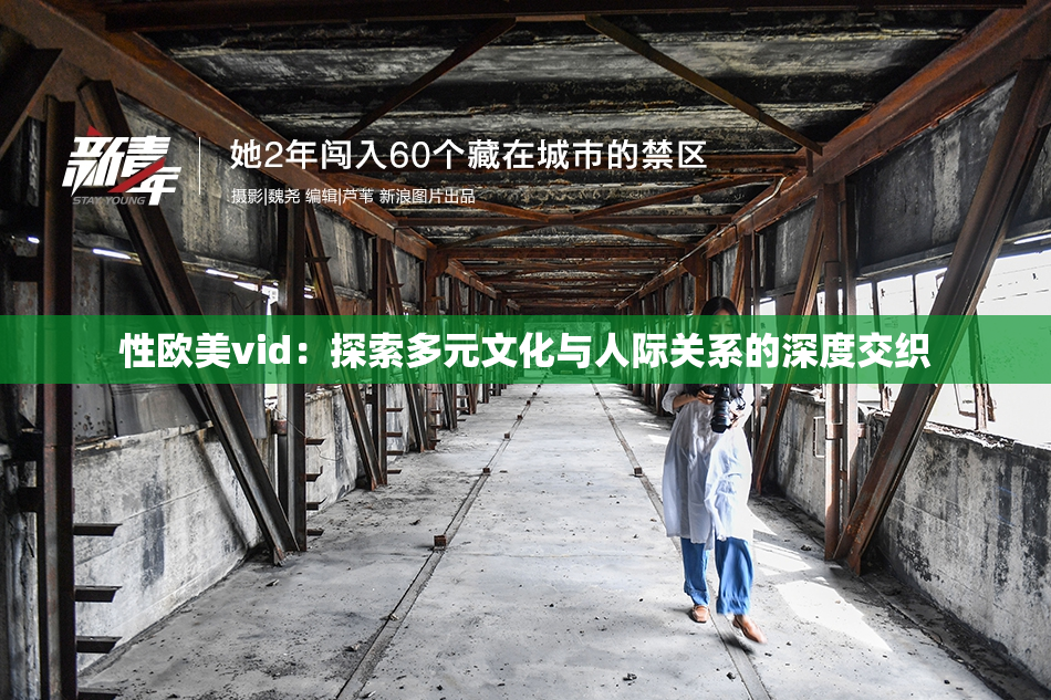 性欧美vid：探索多元文化与人际关系的深度交织