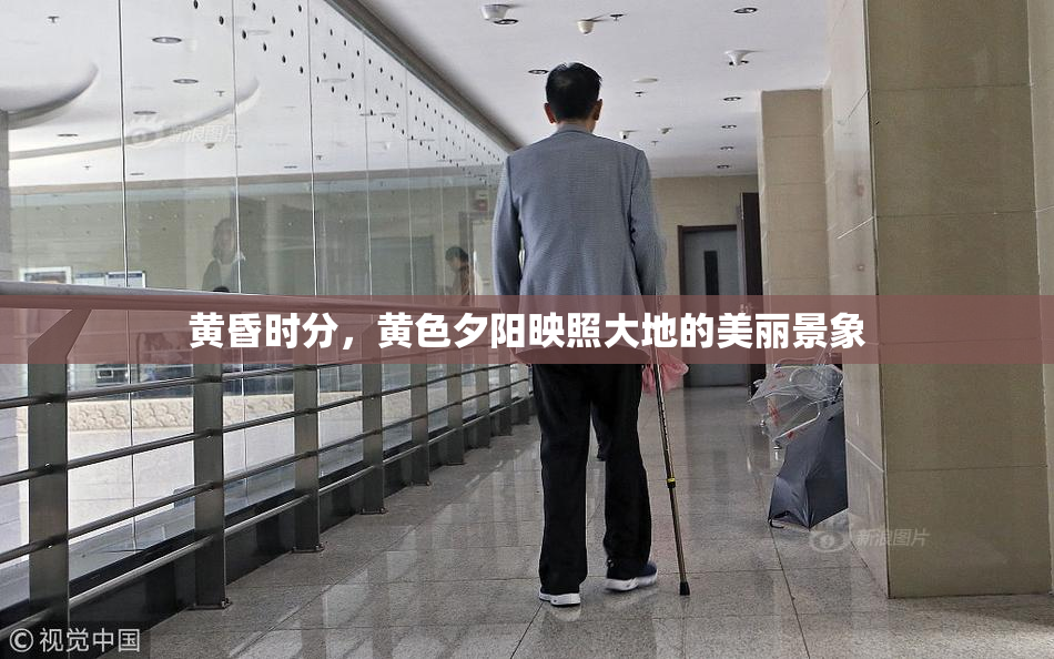 黄昏时分，黄色夕阳映照大地的美丽景象