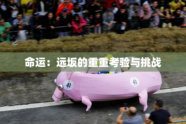 命运：远坂的重重考验与挑战