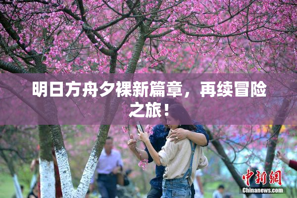 明日方舟夕裸新篇章，再续冒险之旅！