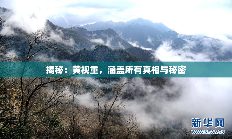 揭秘：黄视重，涵盖所有真相与秘密