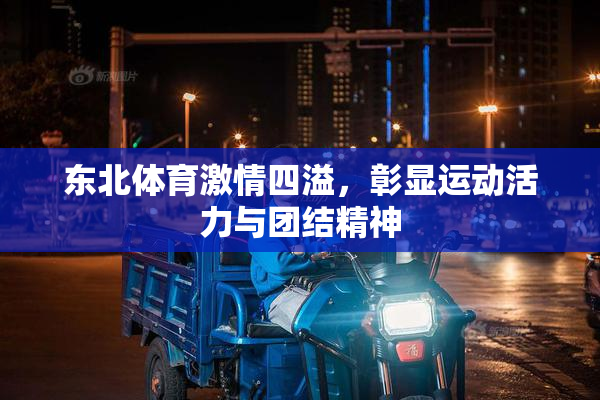 东北体育激情四溢，彰显运动活力与团结精神