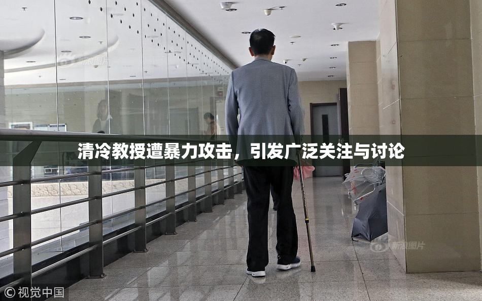 清冷教授遭暴力攻击，引发广泛关注与讨论
