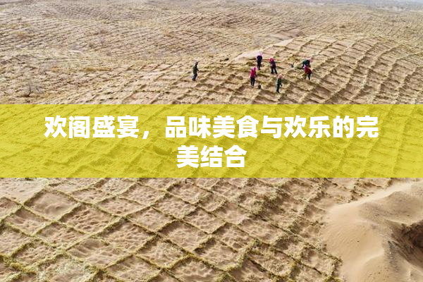 欢阁盛宴，品味美食与欢乐的完美结合