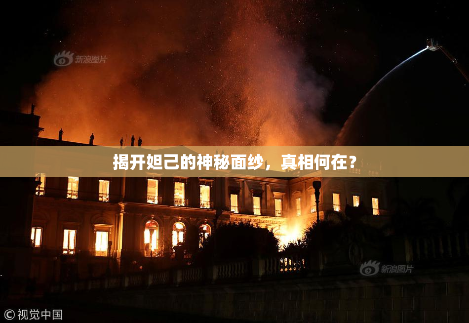 揭开妲己的神秘面纱，真相何在？