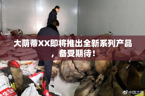 大荫蒂XX即将推出全新系列产品，备受期待！