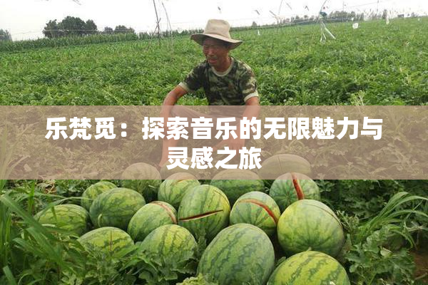 乐梵觅：探索音乐的无限魅力与灵感之旅
