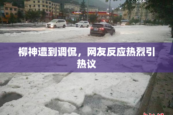 柳神遭到调侃，网友反应热烈引热议