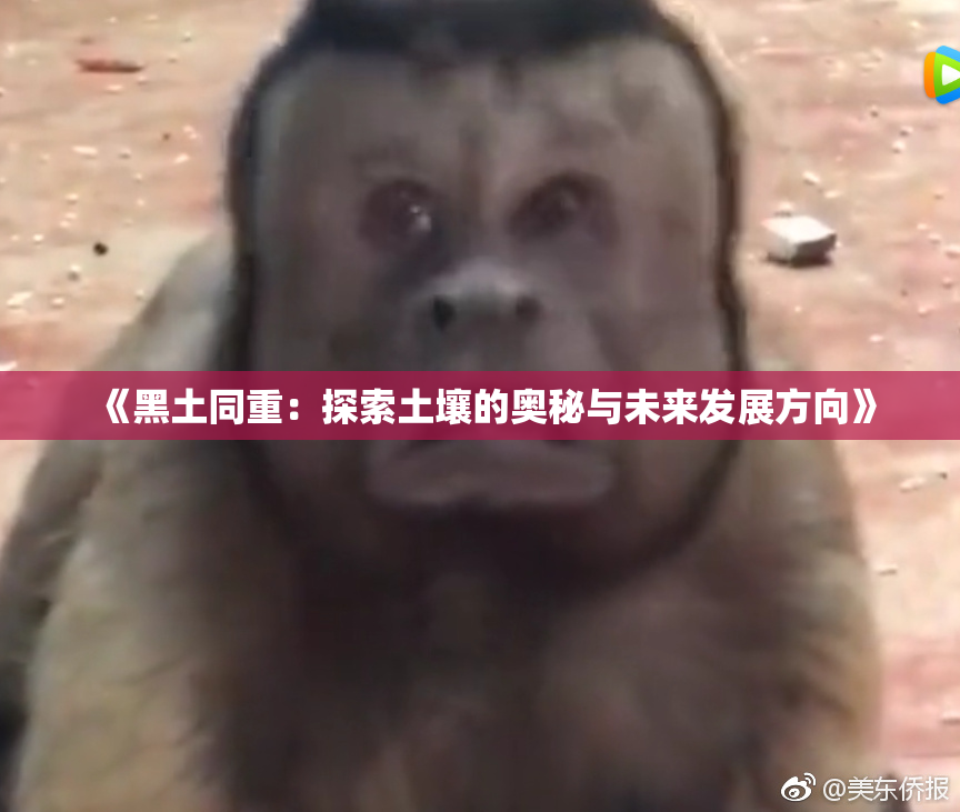 《黑土同重：探索土壤的奥秘与未来发展方向》
