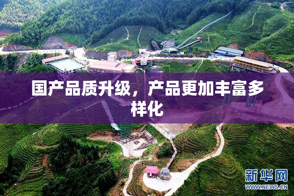 国产品质升级，产品更加丰富多样化
