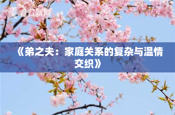 《弟之夫：家庭关系的复杂与温情交织》