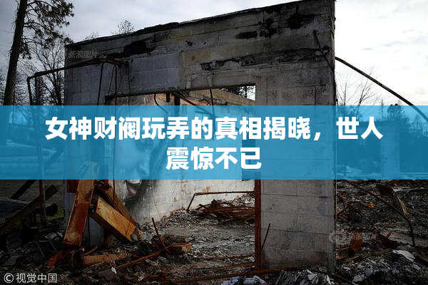 女神财阀玩弄的真相揭晓，世人震惊不已