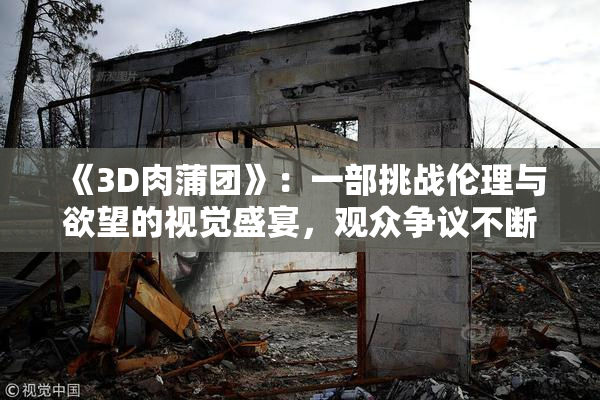 《3D肉蒲团》：一部挑战伦理与欲望的视觉盛宴，观众争议不断
