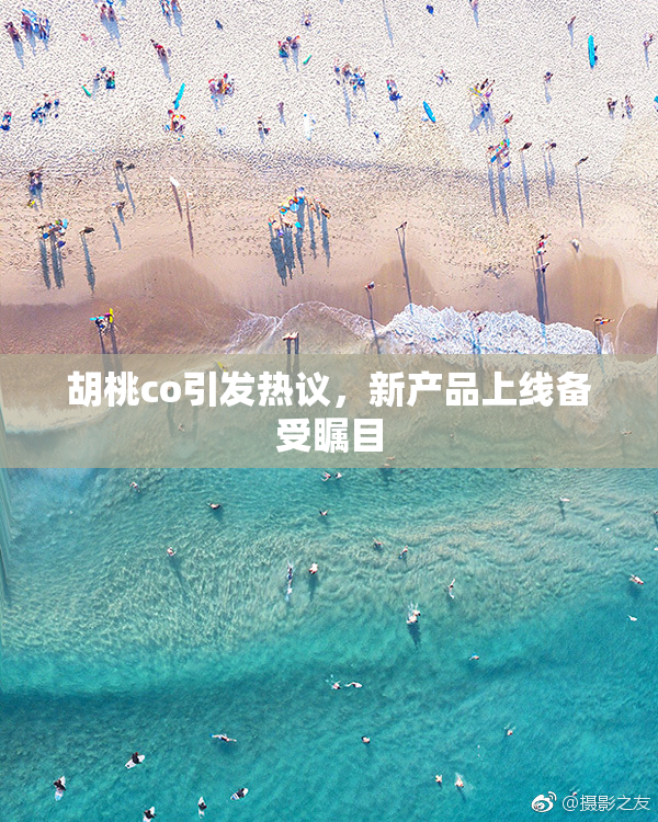 胡桃co引发热议，新产品上线备受瞩目