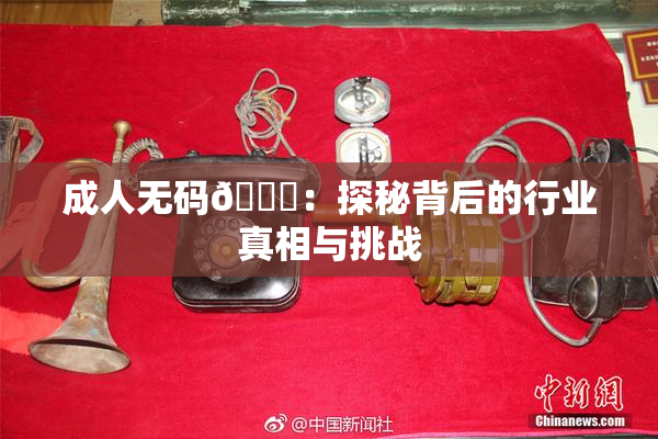 成人无码🔞：探秘背后的行业真相与挑战