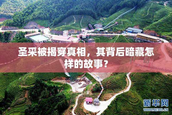 圣采被揭穿真相，其背后暗藏怎样的故事？
