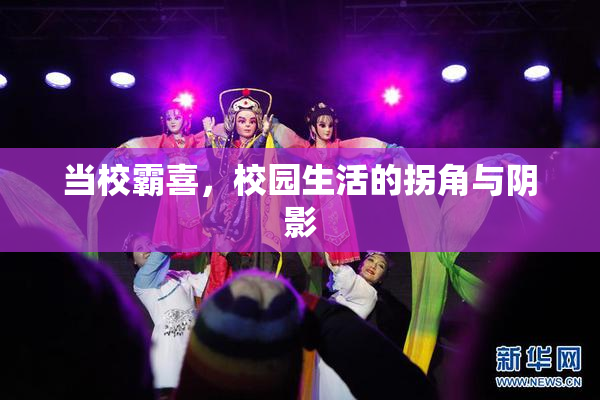 当校霸喜，校园生活的拐角与阴影