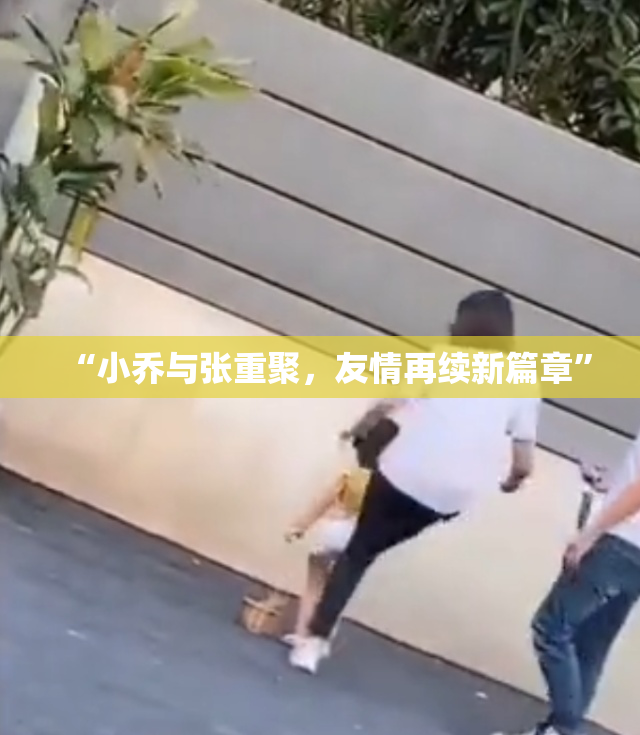 “小乔与张重聚，友情再续新篇章”