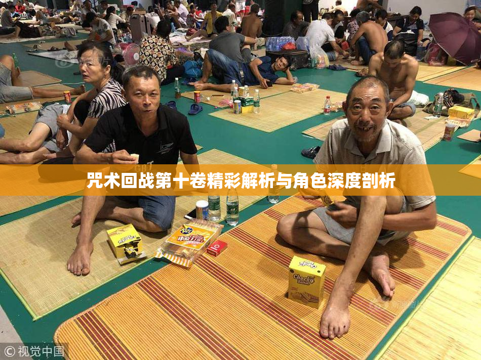 咒术回战第十卷精彩解析与角色深度剖析