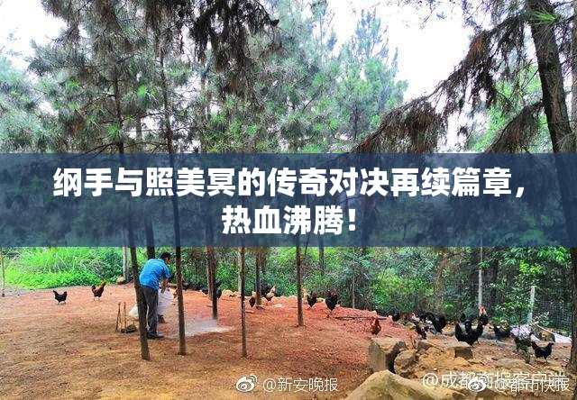 纲手与照美冥的传奇对决再续篇章，热血沸腾！