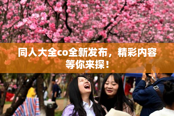 同人大全co全新发布，精彩内容等你来探！