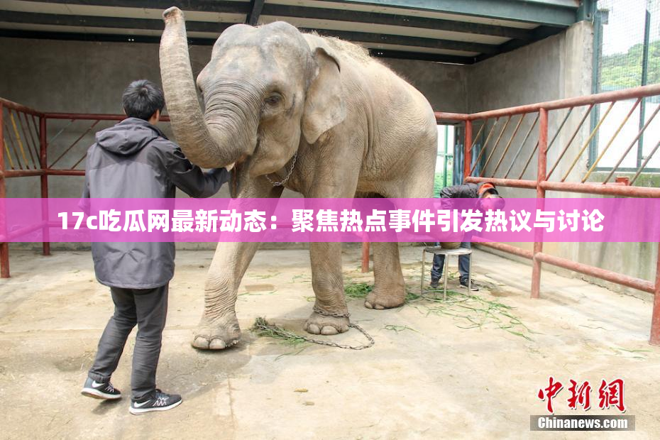 17c吃瓜网最新动态：聚焦热点事件引发热议与讨论