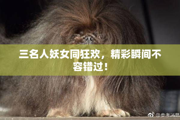 三名人妖女同狂欢，精彩瞬间不容错过！