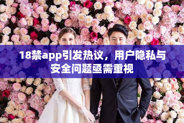 18禁app引发热议，用户隐私与安全问题亟需重视