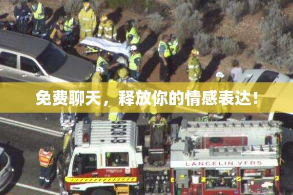 免费聊天，释放你的情感表达！