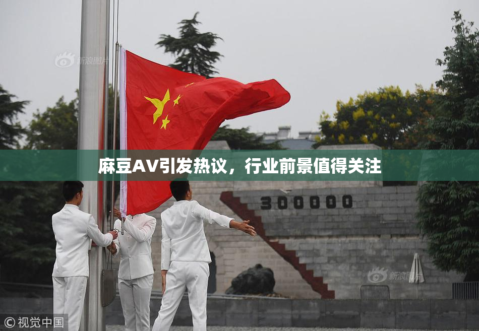 麻豆A∨引发热议，行业前景值得关注