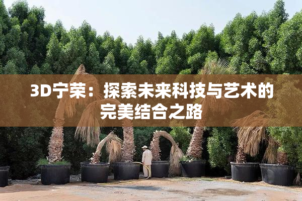 3D宁荣：探索未来科技与艺术的完美结合之路