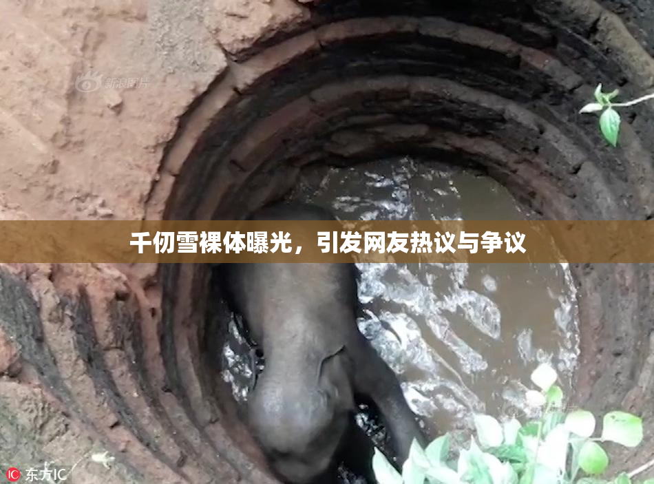 千仞雪裸体曝光，引发网友热议与争议