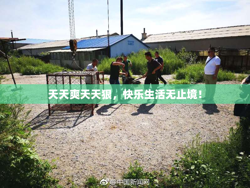 天天爽天天狠，快乐生活无止境！