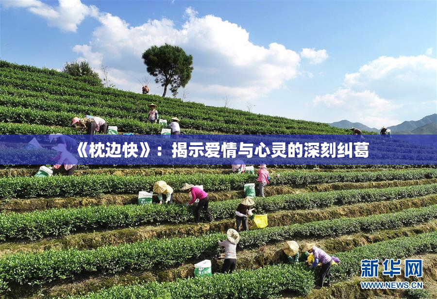 《枕边快》：揭示爱情与心灵的深刻纠葛