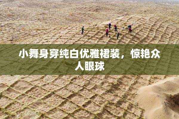 小舞身穿纯白优雅裙装，惊艳众人眼球