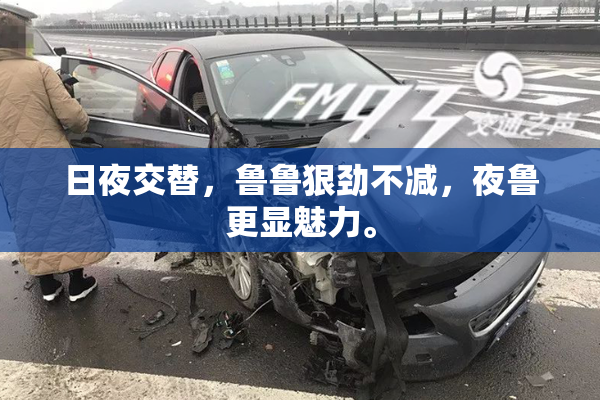 日夜交替，鲁鲁狠劲不减，夜鲁更显魅力。