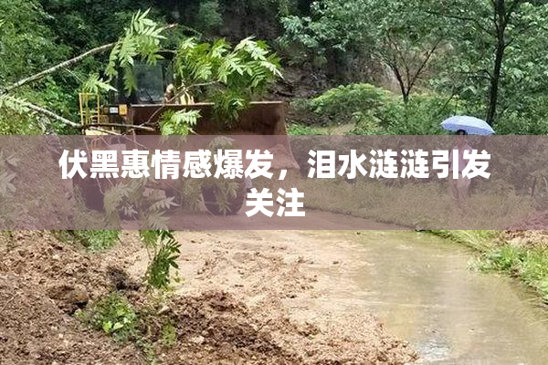 伏黑惠情感爆发，泪水涟涟引发关注