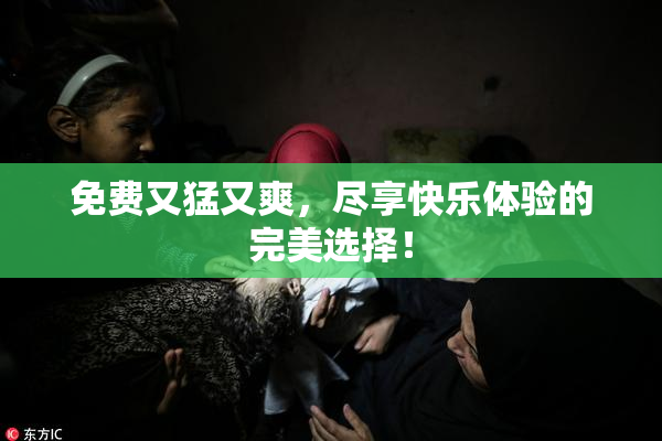 免费又猛又爽，尽享快乐体验的完美选择！