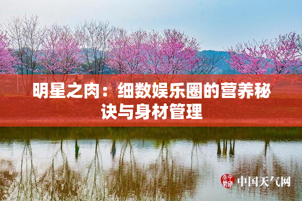 明星之肉：细数娱乐圈的营养秘诀与身材管理