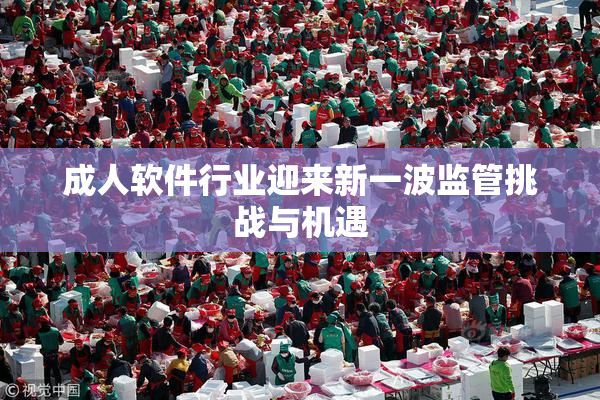 成人软件行业迎来新一波监管挑战与机遇