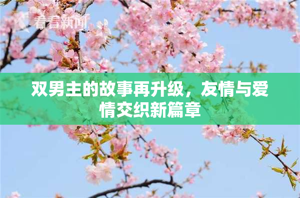 双男主的故事再升级，友情与爱情交织新篇章