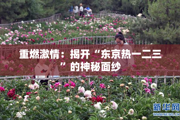 重燃激情：揭开“东京热一二三”的神秘面纱