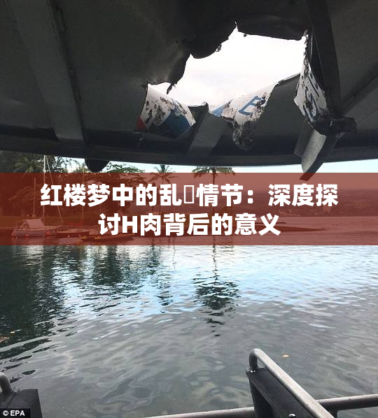 红楼梦中的乱婬情节：深度探讨H肉背后的意义